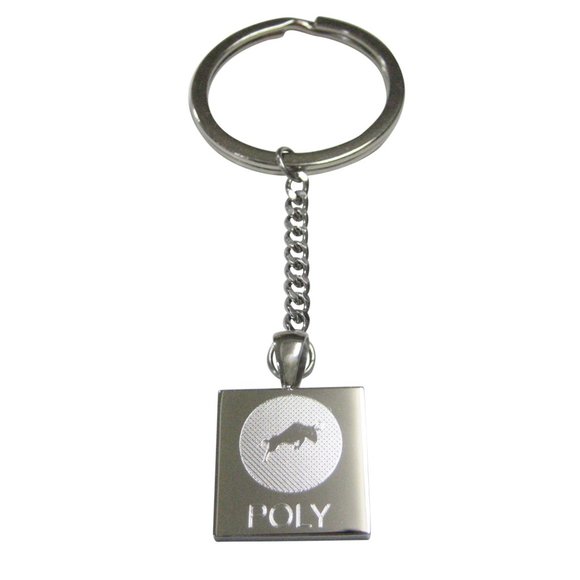 Polymath Coin POLY Cryptocurrency Blockchain Pendant Keychain - Picture 1 of 2